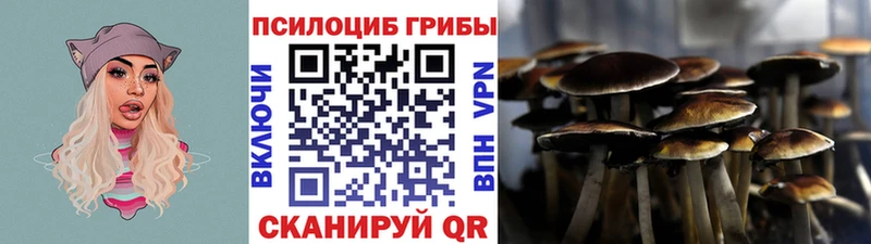 Галлюциногенные грибы Psilocybine cubensis  цены   Кстово 